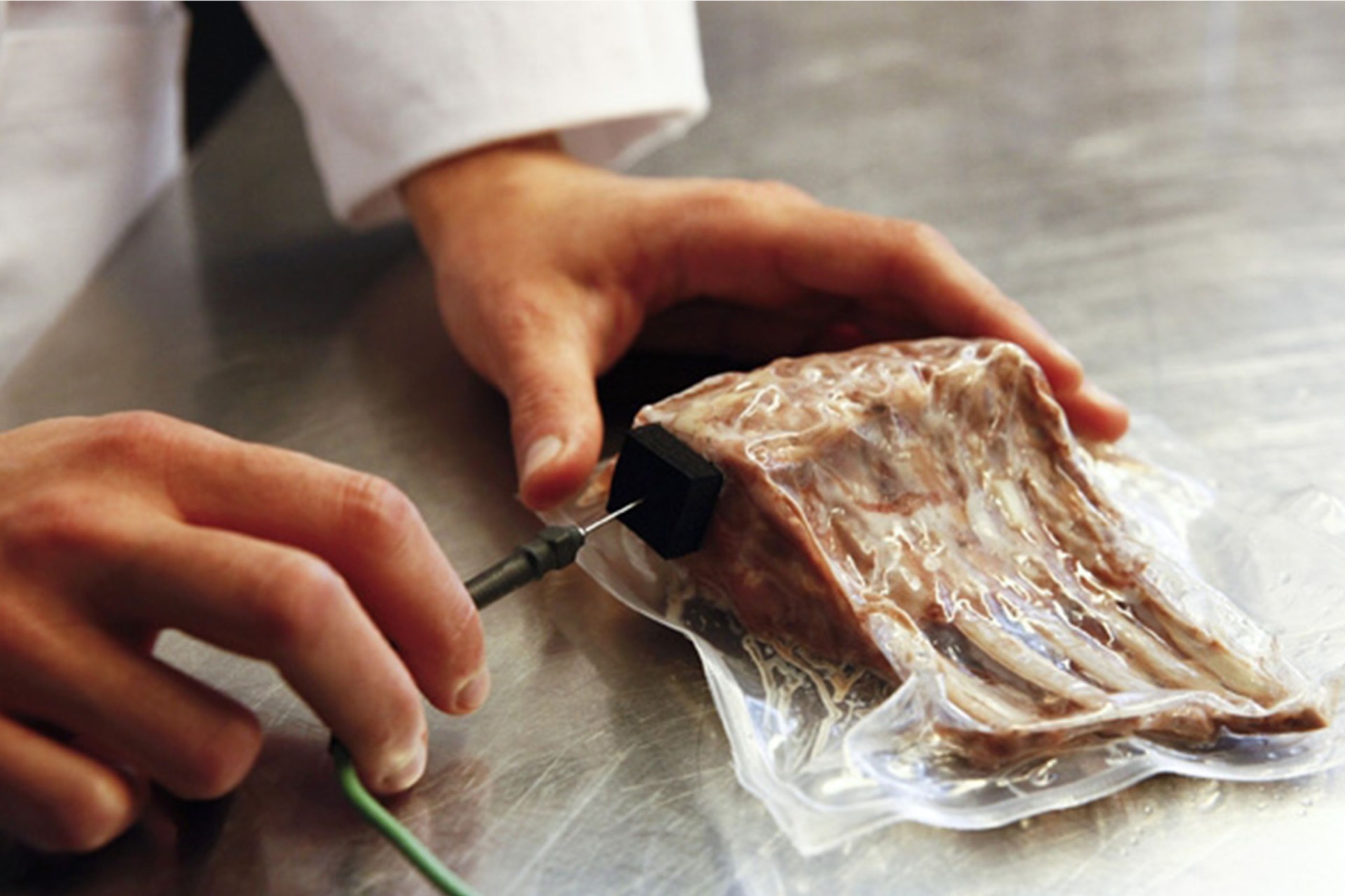 Probing a veal shank